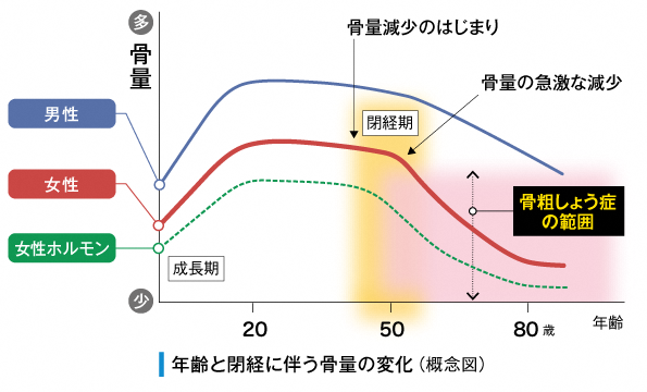 グラフ：年齢と骨量