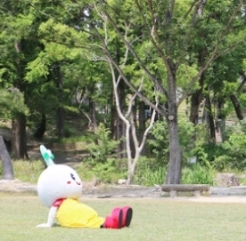 写真：公園で遊ぶすいたん