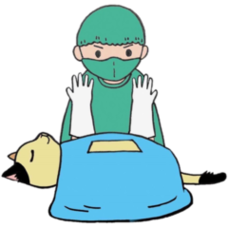 イラスト:猫 手術