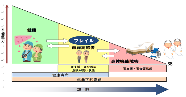 グラフ：健康な状態、フレイル、身体機能障害の流れ