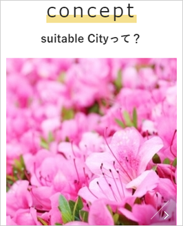 suitablecityって？