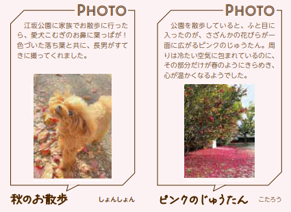 みんなのコレ見て掲載イメージ