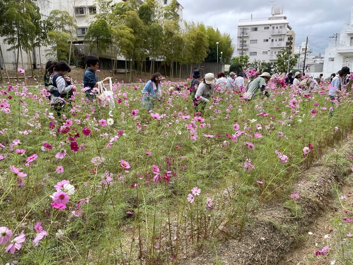 写真：花摘み会