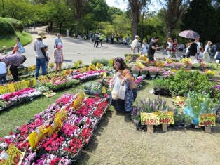 写真：第14回千里ニュータウン商業祭6