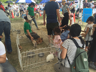 写真：第15回千里ニュータウン商業祭4