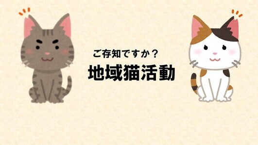 地域猫アニメサムネイル