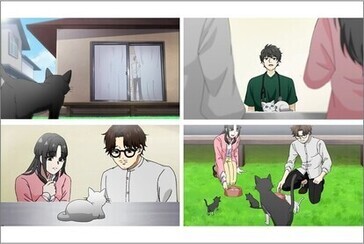 地域猫アニメ