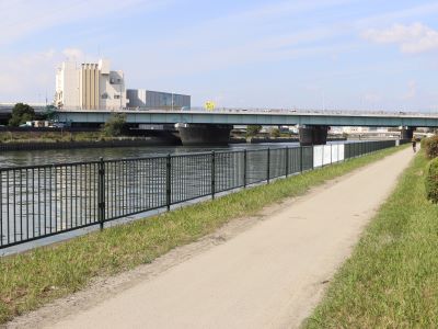 水鳥の道（神崎川沿い遊歩道）の写真