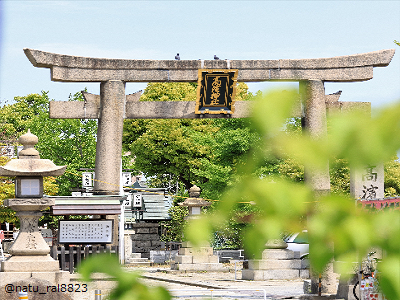 高浜神社の写真