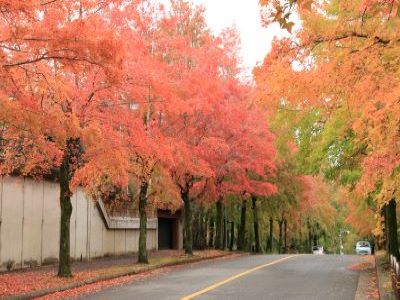 三色彩道の写真