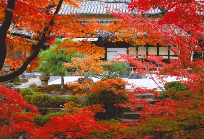 写真：紅葉の中西邸