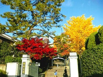 写真：想い出の三色紅葉