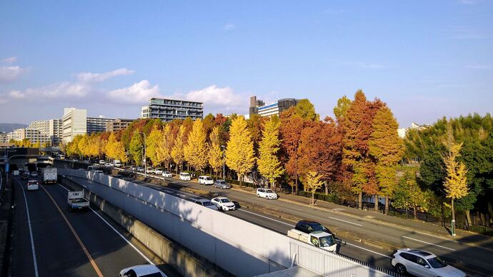 写真：秋