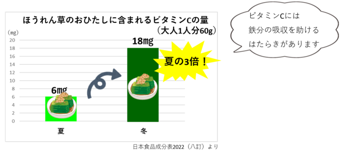 ほうれん草のおひたしに含まれるビタミンCの量（大人1人分60g）は、夏は6㎎、冬は18㎎。ビタミンCには鉄分の吸収を助けるはたらきがあります。