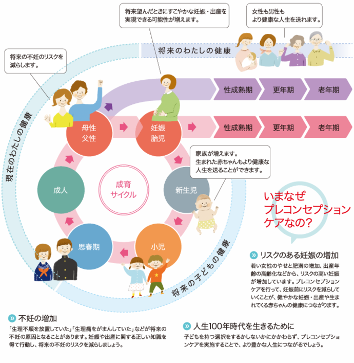 プレコンセプションケアサイクル図