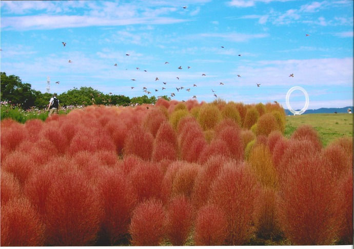 写真：秋色に染まる