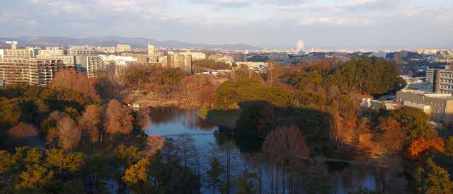 写真：初冬の公園