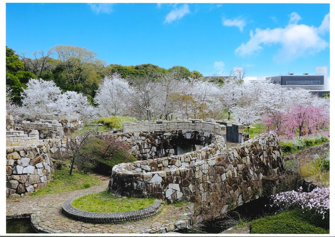 写真：桜満開