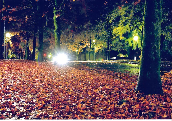 写真：夜明け前　秋が深まる