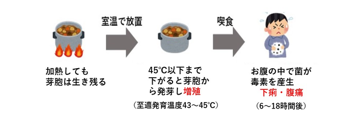 ウェルシュ菌食中毒の起こる仕組み