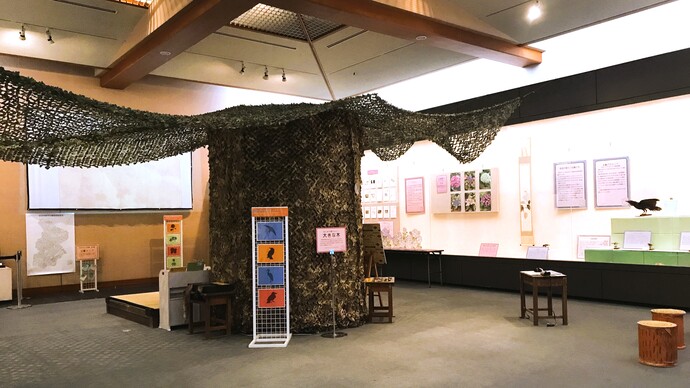 写真：夏季展示の展示室