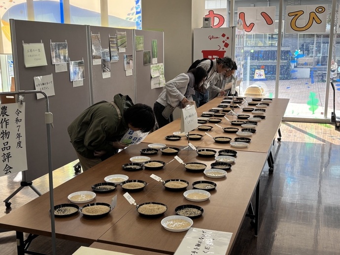 写真：投票の様子