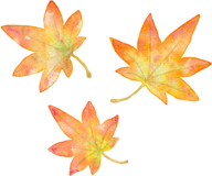 イラスト：紅葉