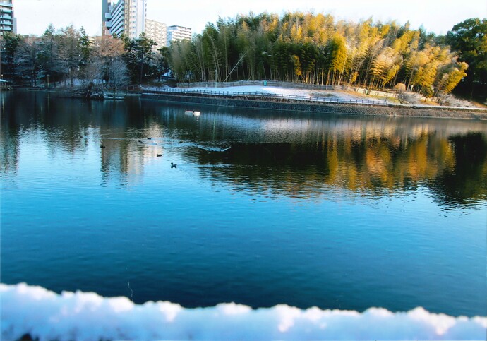 写真：冬の水鏡