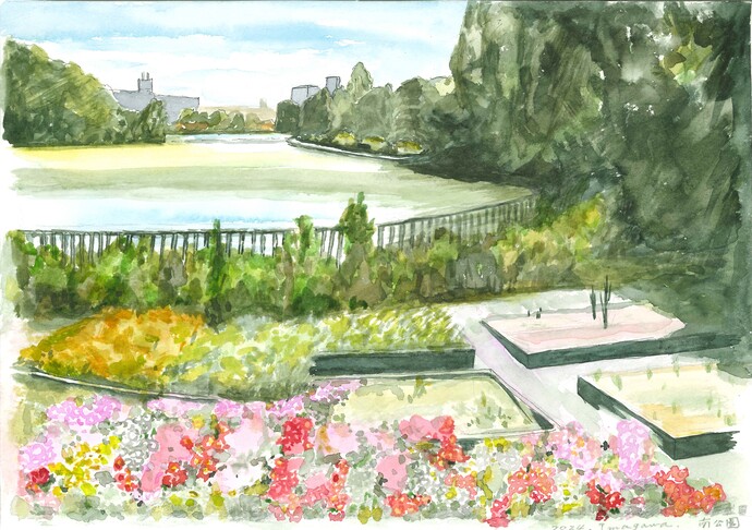 写真：南公園盛夏