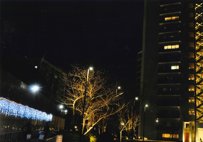 写真：帰路