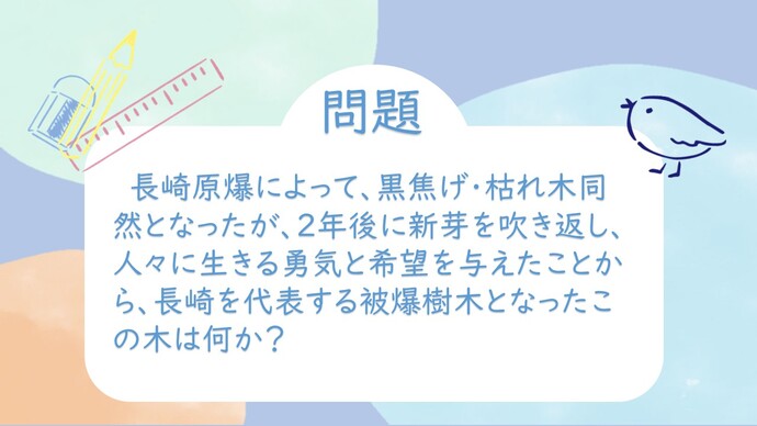 長崎原爆によって、黒焦げ・枯れ木同然となったが、2年後に新芽を吹き返し、人々に生きる勇気と希望を与えたことから、長崎を代表する被爆樹木となったこの木は何か？