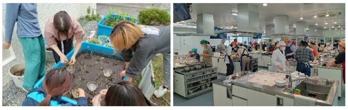 吹田くわい普及啓発事業の様子