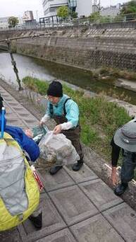 吹田の川の川をしらべ隊活動写真2