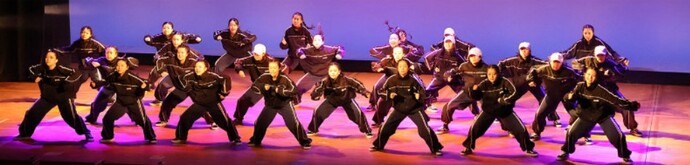 dansu-saiyuushuu