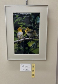 市展賞