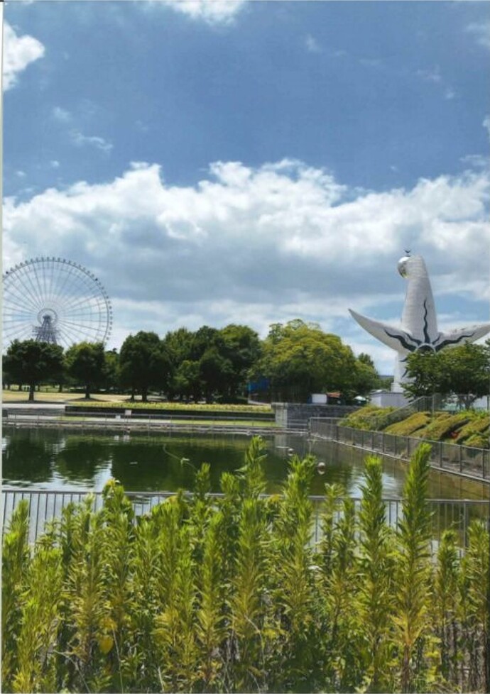 写真:ある日の夏