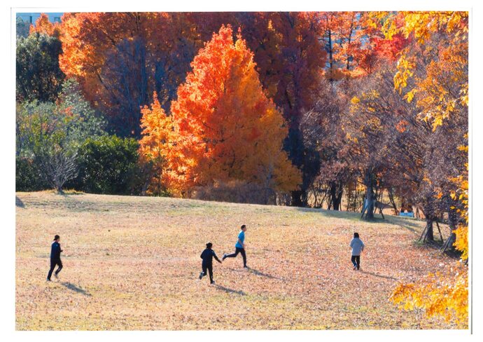 写真:紅葉の舞台・未来の足音