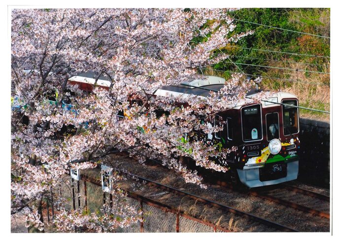 写真:SDGs未来を運ぶ花電車