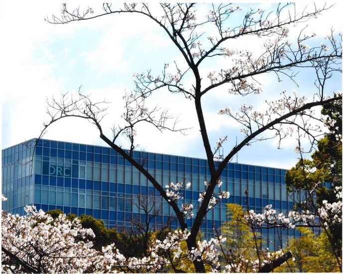 写真:Spring has come