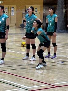 バレーボールコートでプレーするいぬまるさん