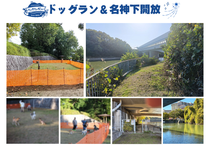 ドッグランと名神下開放写真