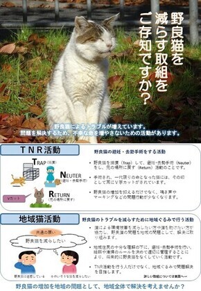 地域猫活動