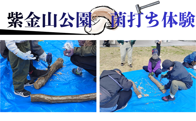 インパクトドライバーを使用して原木に穴を空けている様子