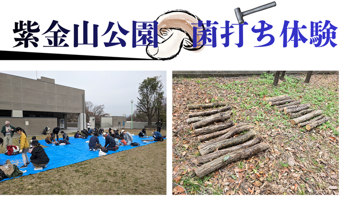 原木に菌を打ち込んでいる様子