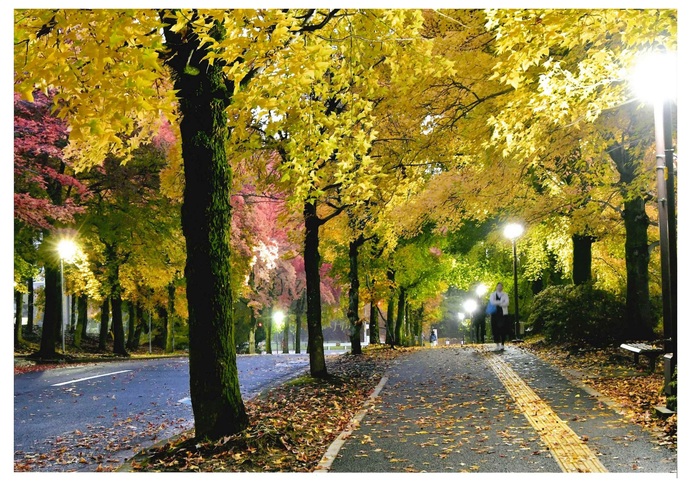 写真:夜明けの三色彩道