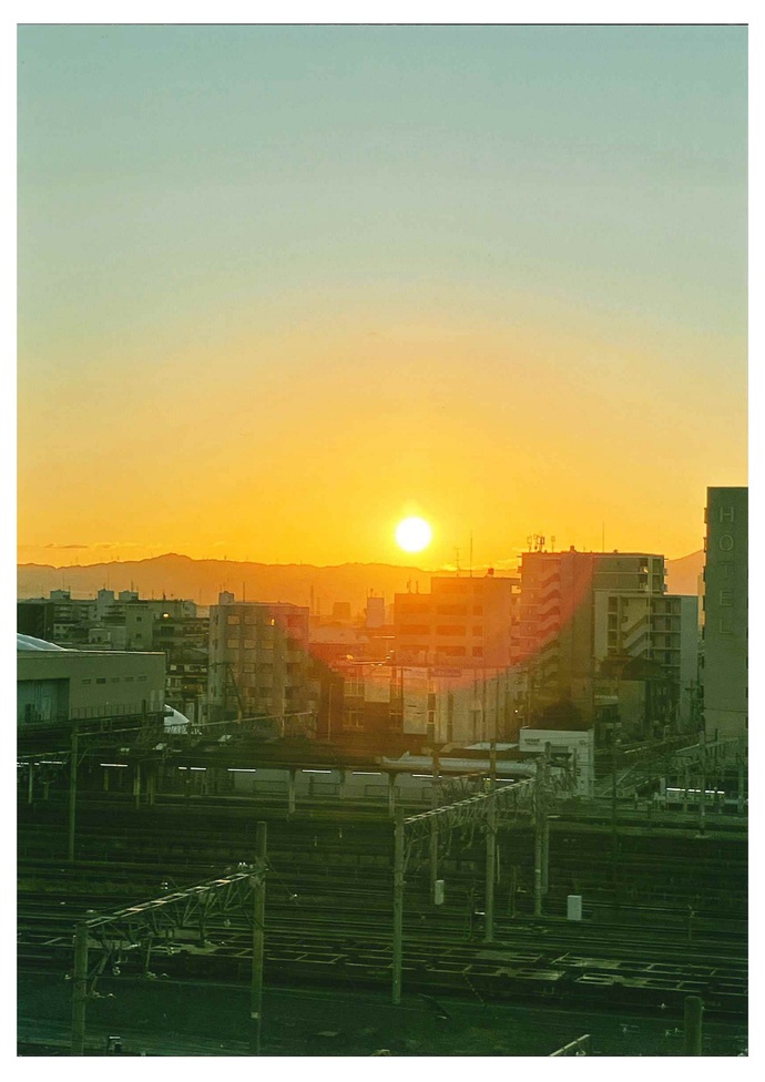 写真:初夏の出