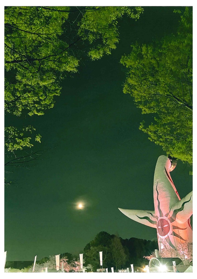 写真:夜桜と太陽の塔