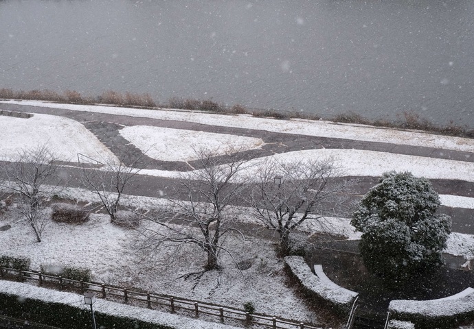 写真:雪の朝